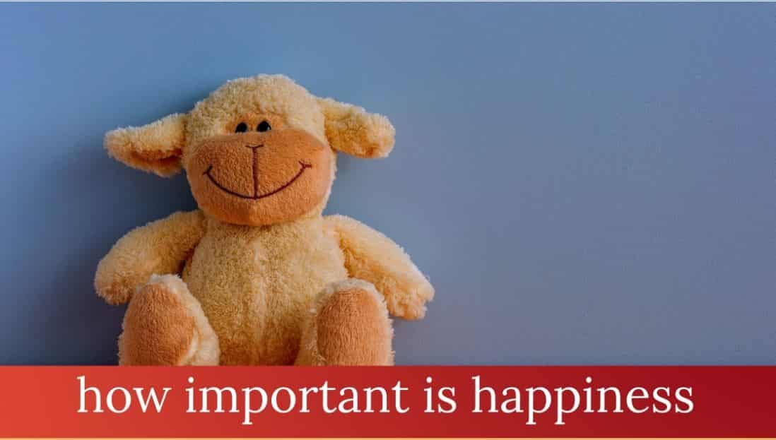 importance of true happiness