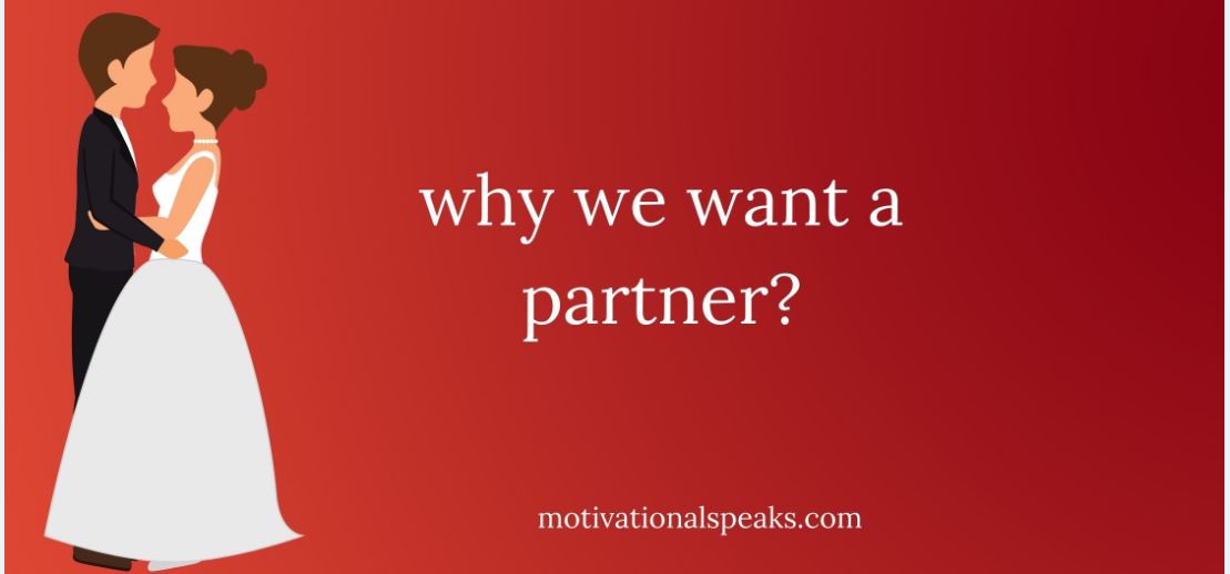 why we want a partner
