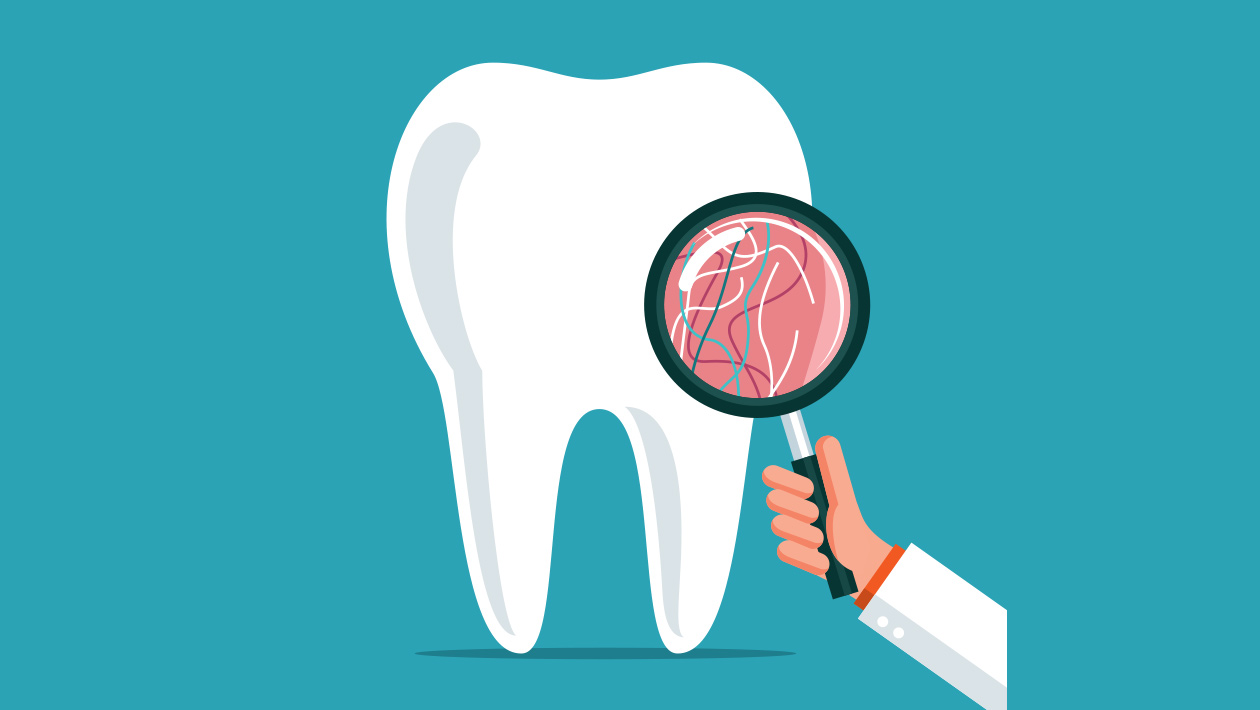 The Importance of Understanding Dental Insurance Plans Navigating PPOs and Other Options